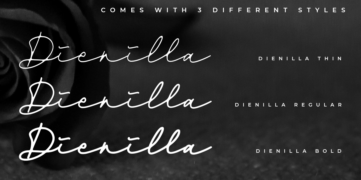 Пример шрифта Dienilla Thin